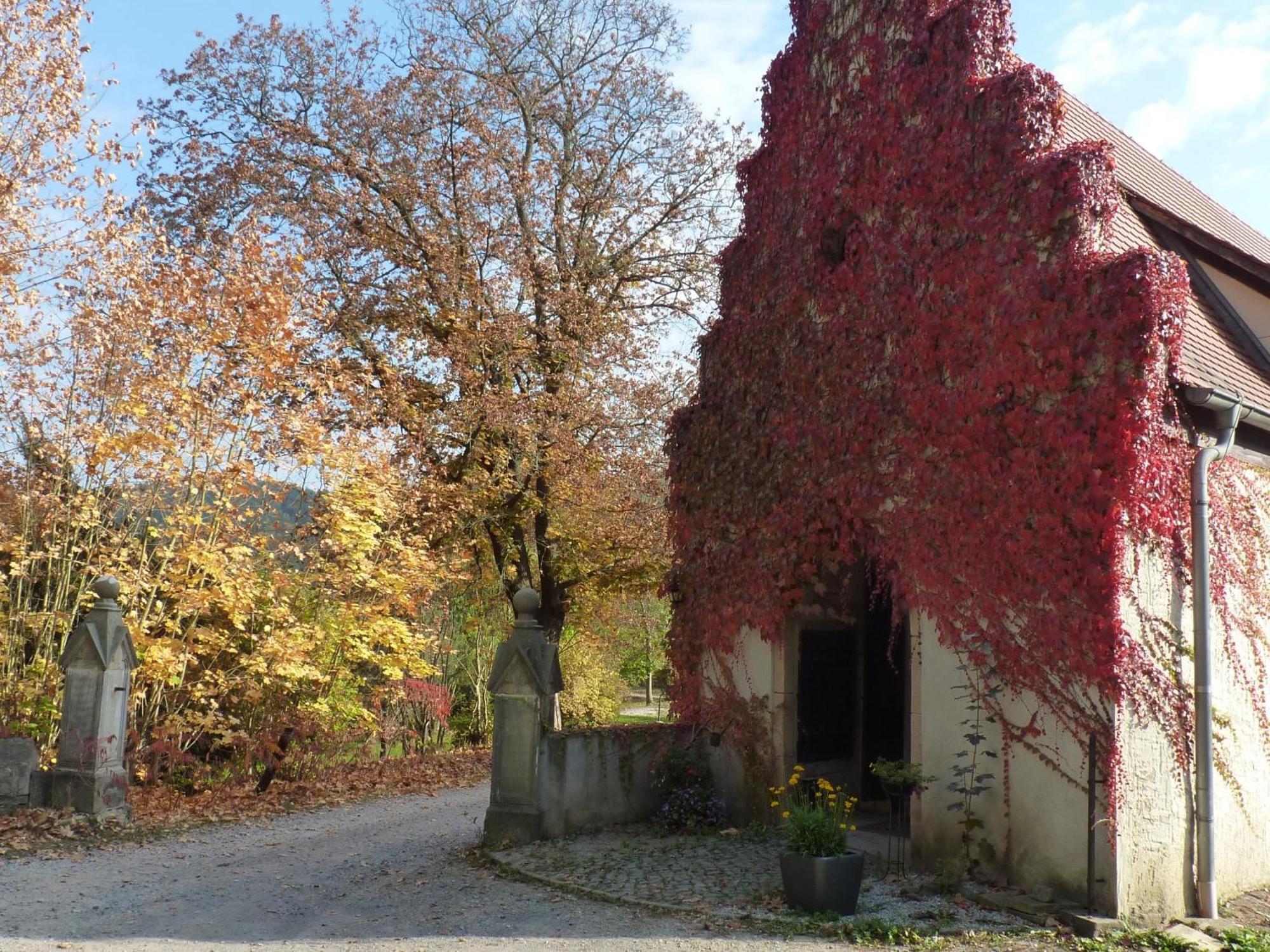 Hotel & Restaurant Schloss Weissenburg Uhlstädt 외부 사진