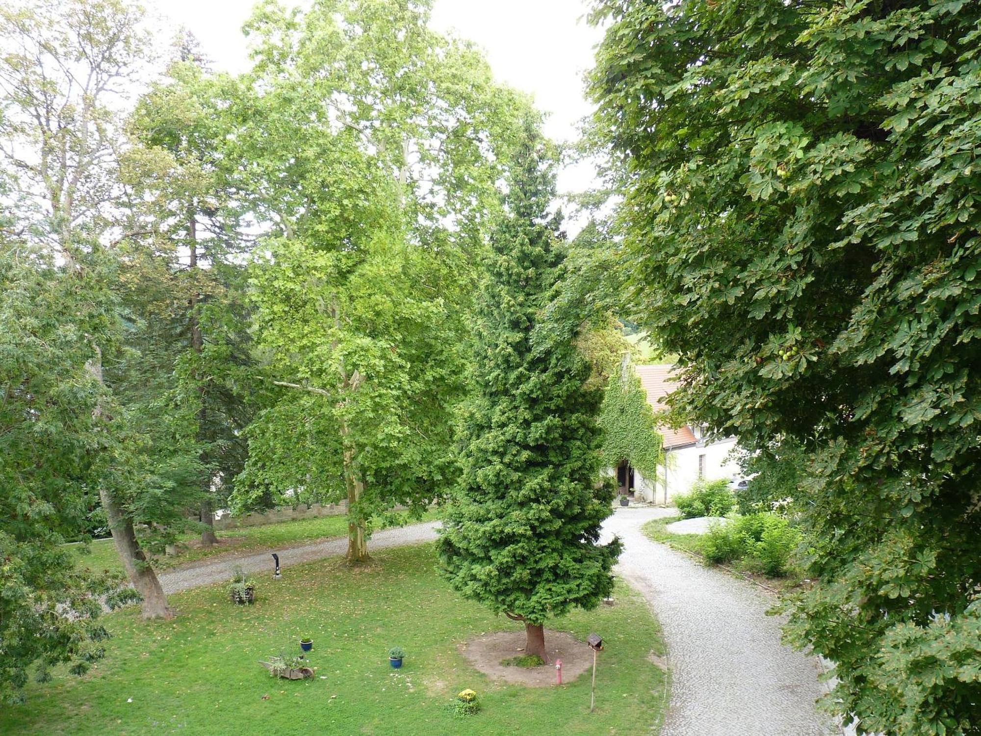 Hotel & Restaurant Schloss Weissenburg Uhlstädt 객실 사진